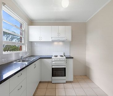 Beautifully Appointed Studio Apartment - Located in a lovely Tree L... - Photo 3