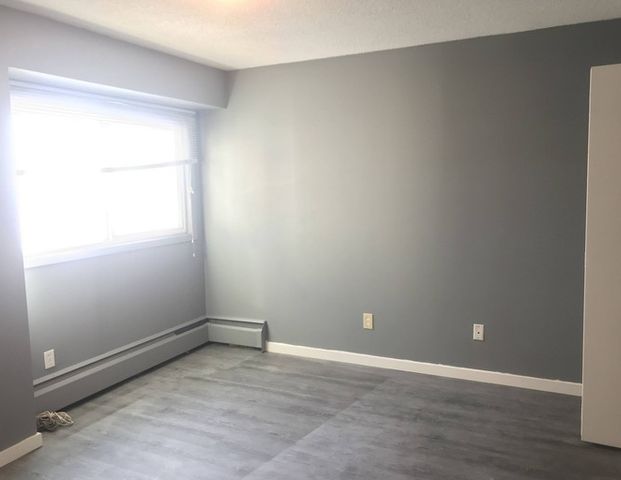 Cozy 1 bedroom 1 bath condo Jasper Avenue*Utilities Included*Power Parking* | 8310 Jasper Ave, Edmonton - Photo 1