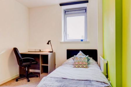 Classic Studio - Photo 4