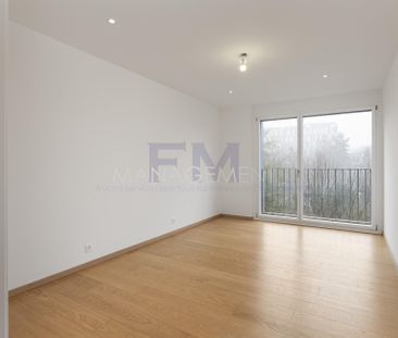 Ch. du Velours, Appartement 9 pièces au 3ème étage - Photo 1