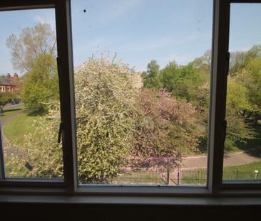 1 bedroom house to rent - Photo 5
