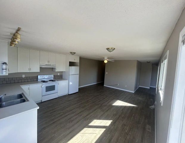 Small town living close to Lethbridge 3 Beds 2 Baths Apartment — 3 Bedrooms Fourplex - Photo 1