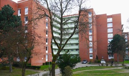 Die Gelegenheit: vollsanierte 3-Zi.-Wohnung mit Balkon im Erdgeschoss - Photo 3