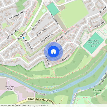 Hornbeam Road, Dunmurry, BT17