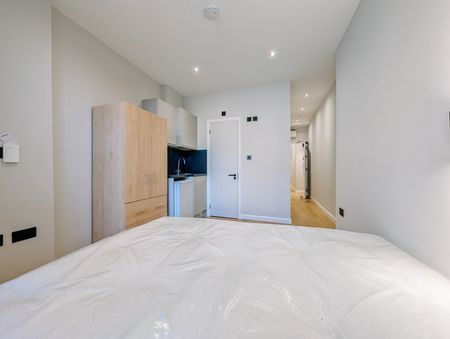 Studio Flat, Blenheim Mansions, SW2 - Photo 3