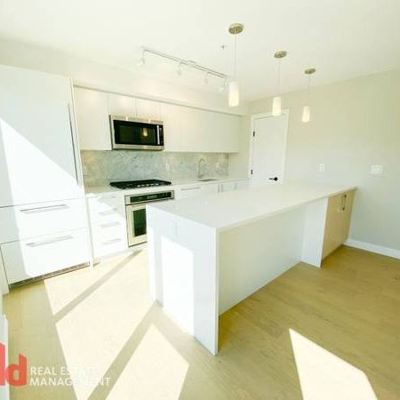 Bright & Open 1 Bedroom in Central Mount Pleasant - Photo 1