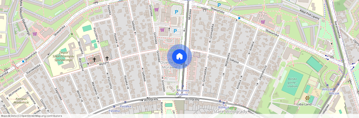 os. Na Murawie, Winogrady, Stare Miasto, Poznań, wielkopolskie