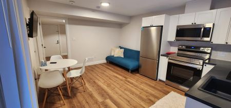 For Lease - 19 Ferris Circle Lane Unit# Basement, Guelph, Ontario - Photo 3