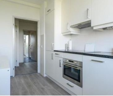 Groningensingel 6835 EA Arnhem - Photo 2