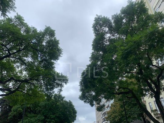 Apartamento T4 com varanda e vista para o Parque Eduardo VII, em Lisboa - Photo 1