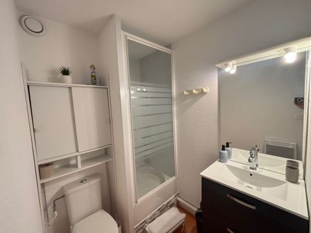 Location Appartement 1 pièce 19m² LES SABLES D’OLONNE 85180 - Photo 5