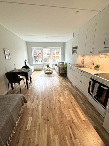 Plåtslagaregatan, Norrköping - Photo 4