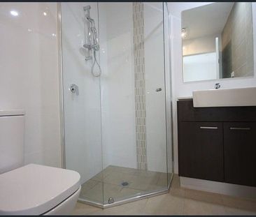 Modern Granny Flat in Spring Farm! - Photo 6