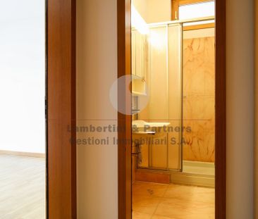 4 ½ Zimmer-Wohnung in Lugano mieten - Photo 4