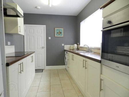 22 Lower Violet Street, Waterside, Derry, BT47 2AR - Photo 4