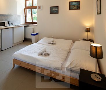 Pronájem bytu 1+kk pod hradem Karlštejn - Photo 2