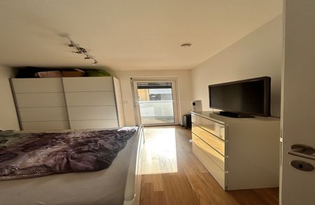 Graz-Nähe TU-Inffeld: Moderne Terrassenwohnung! - Foto 4