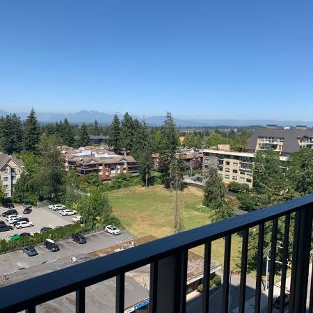 SOLEIL Brand New Mountain View Apartment W/ AC - Photo 3