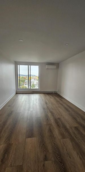 1 CH - 1 SDB - Montréal - $1,545 /mo - Photo 1