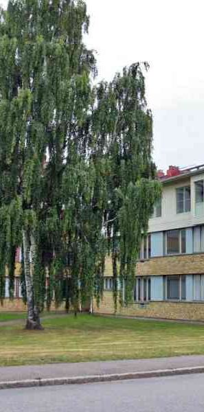 Ryd, Rydsvägen 248 C.15 - Foto 1