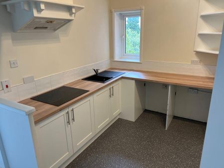 1 bedroom flat to rent - Photo 2