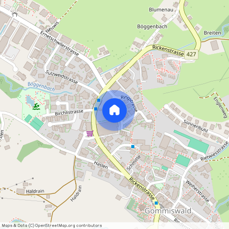 8737, Gommiswald, Ringstrasse, 4d