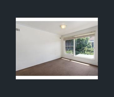 Affordable One Bedroom Apartment - Photo 2