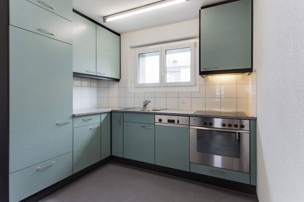 3 Zimmer, 56 m², EG - Photo 1