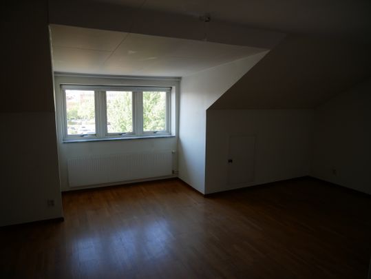 Viktoriagatan, Hässleholm - Photo 1