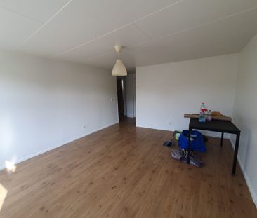 Olofsgatan, Malmö - Foto 1