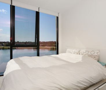 203C/1 The Concourse, Benowa QLD 4217 - Apartment For Rent | Domain - Photo 3