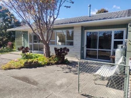 Charming Sunny 2 Bedroom Unit in Waikanae! - Photo 5