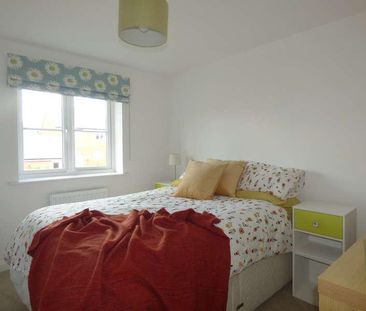 Tremlett Meadow, Cranbrook, EX5 - Photo 5