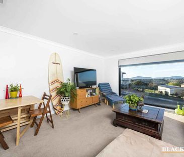 Elevated and renovated - Photo 3