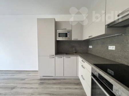 Pronájem bytu 1+kk, 33 m - Fotografie 2