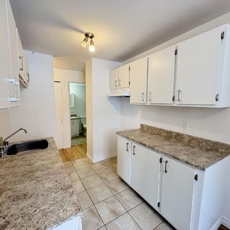 Appartement 4 ½ à louer Lévis décembre 2025 - Photo 3