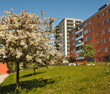 Hjulsta Backar 19, Tensta - Photo 3