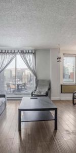Top floor (12th) Fully-furnished penthouse $1,800/month Montreal - Condo / apartment for rent Ville-Marie - Photo 4