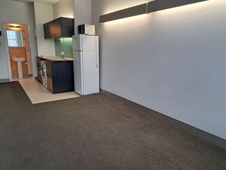 Chic Te Aro Studio Apt with Lift Access - Photo 3