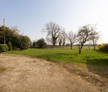 2 bedroom cottage to rent - Photo 3