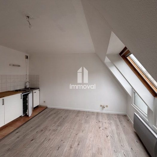 Location Appartement 1 pièce 20m² SCHILTIGHEIM 67300 - Photo 1