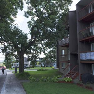 4 1/2 Charlesbourg Rez-de-jardin 1er septembre - Photo 2