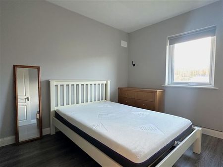 14 Lui na Greine, Knocknacarra, Galway, H91 XP92 - Photo 4