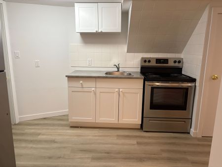 For Lease - 85 Floral Parkway Unit# Unit Bsmt, Toronto, Ontario - Photo 2