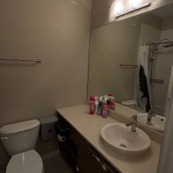 1 bed 1 bath apartment in great location! - Photo 3