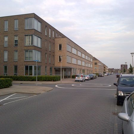 Te huur: Rivierenstraat 252 - Photo 4