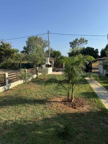 Μονοκατοικία για ενοικίαση Νέα Ποτίδαια (Μουδανιά) - Photo 3