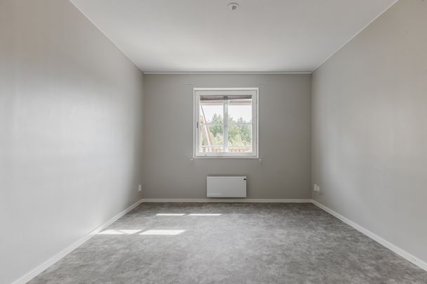 Petersburg 66 - Foto 1