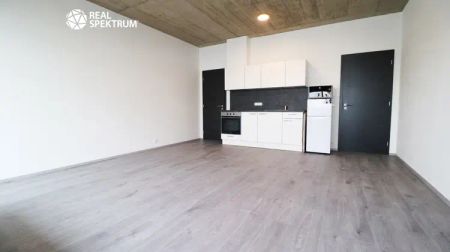 Pronájem nezařízeného bytu 1+kk s lodžií a parkovacím stáním, 39 m - Photo 3