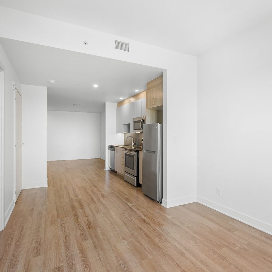 Condo for rent, Montréal (Le Plateau-Mont-Royal) - Photo 1